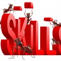Know Your Skills: They Are Your Prime Selling Points