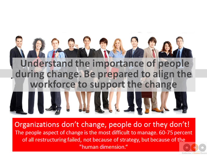 Change Management in Your Organization - See 20 Rules of Success